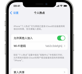 静海apple服务站点分享iPhone上个人热点丢失了怎么办