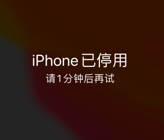 静海苹果手机维修分享:iPhone 显示“不可用”或“已停用”怎么办？还能保留数据吗？ 