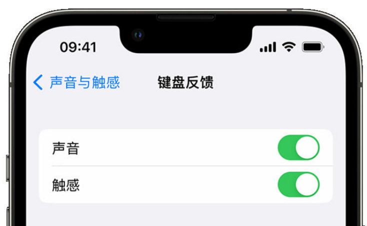 静海苹果手机维修分享iPhone 14触感键盘使用方法 