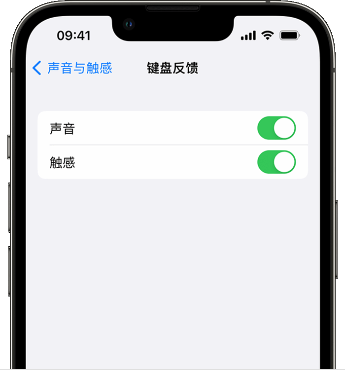 静海苹果14维修店分享如何在 iPhone 14 机型中使用触感键盘 