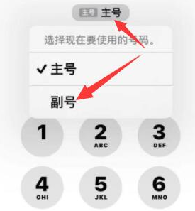 静海苹果14维修店分享iPhone 14 Pro Max使用副卡打电话的方法 