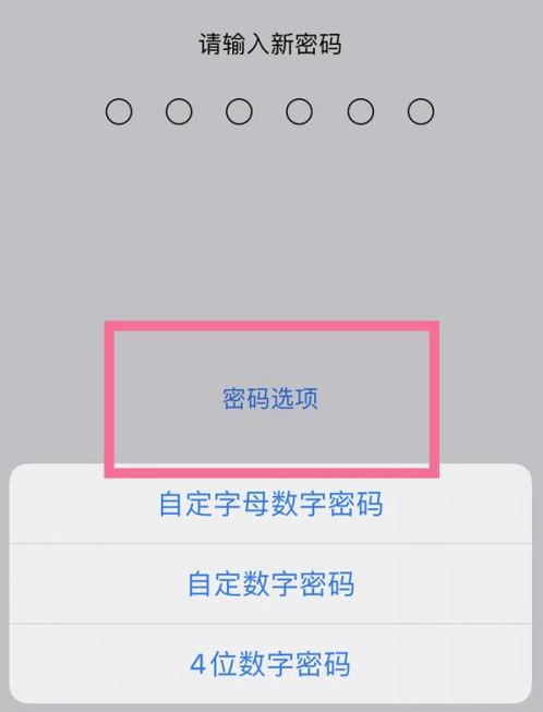 静海苹果14维修分享iPhone 14plus设置密码的方法 