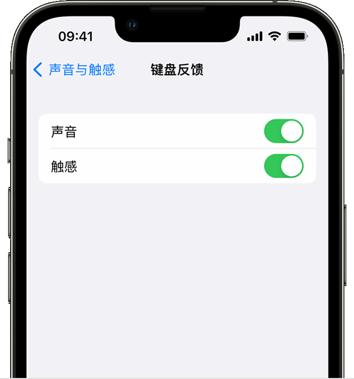静海苹果14维修分享iPhone 14 系列机型如何开启键盘声音或触感反馈 