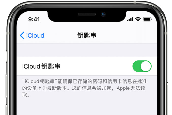 静海苹果手机维修分享在 iPhone 上开启 iCloud 钥匙串之后会储存哪些信息 