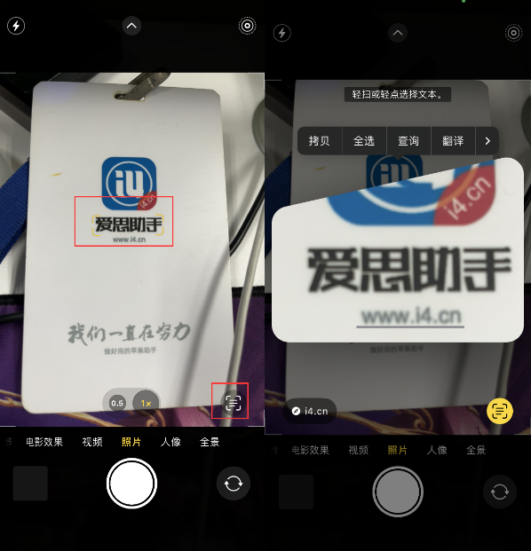 静海苹果手机维修分享升级iOS 16后如何通过相机翻译文本 