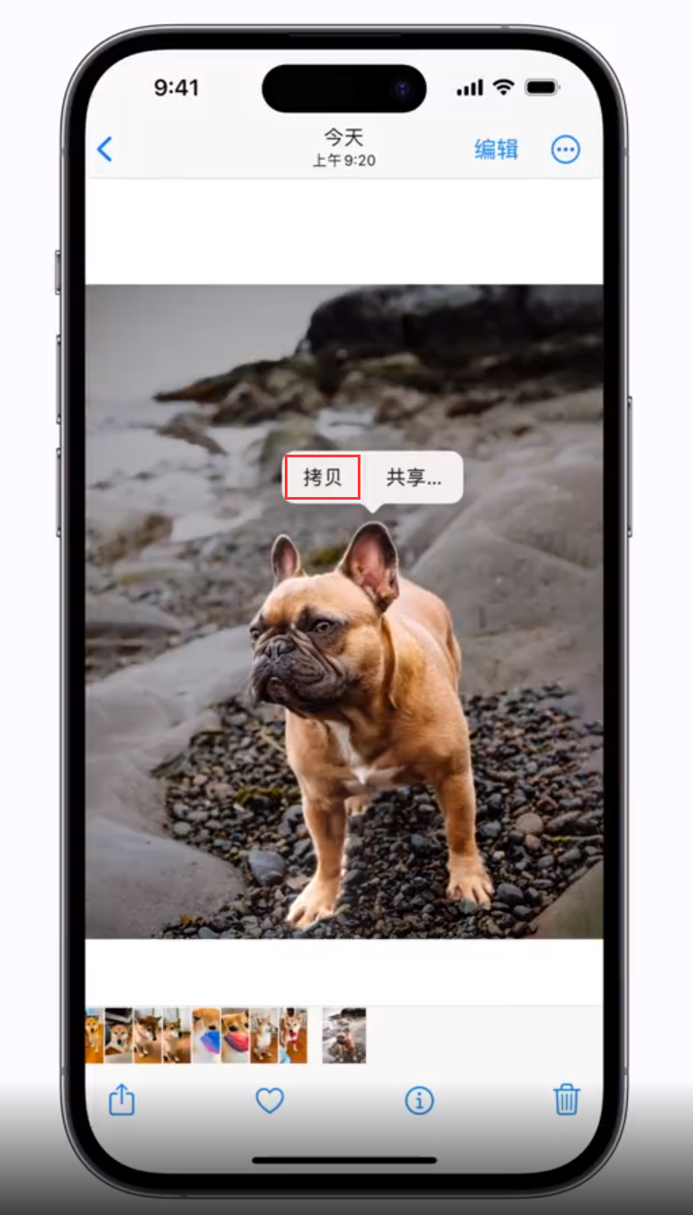 静海苹果手机维修分享 iOS 16 自带一键抠图功能 