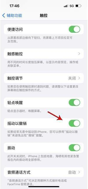 静海苹果手机维修分享iPhone手机如何设置摇一摇删除文字 