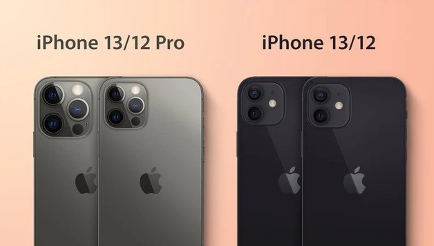 静海苹果手机维修分享iPhone 13 摄像头长什么样 