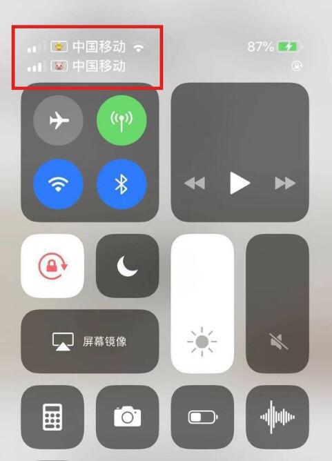 静海苹果手机维修分享为 iPhone 12 双卡设置标签 