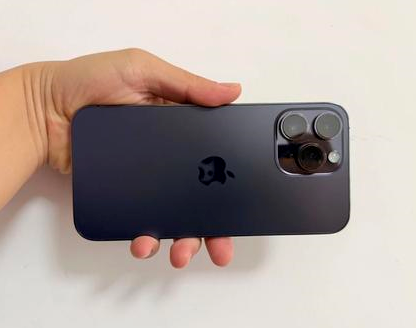静海苹果维修点分享iPhone 14 Pro Max发烫多重诱因剖析 